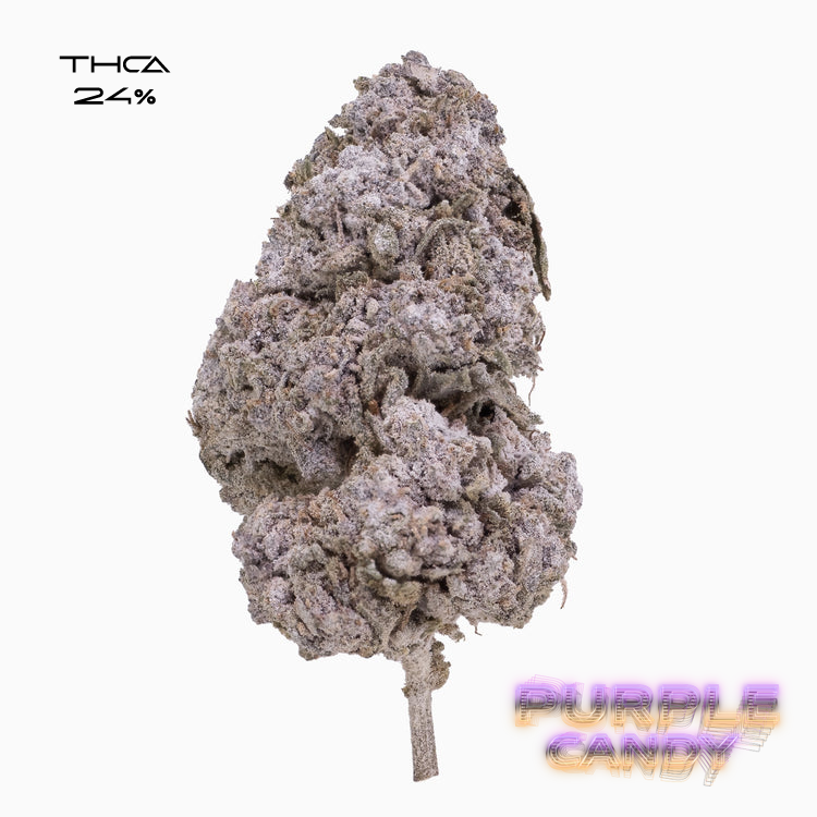 Purple Candy - THCA 24%